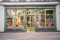 Ontdek de charme van Hanzestad Deventer: middeleeuwse straatjes, historische gebouwen en sfeervolle pleinen langs de IJssel. Een stad vol geschiedenis en gezelligheid!