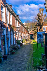 &quot;Ontdek de rust en schoonheid van de historische hofjes in Groningen, een verborgen parel van sereniteit en charme in de bruisende stad.&quot;