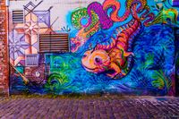 2.	Dompel je onder in de dynamische Street Art scene van Groningen: laat je verrassen door creativiteit op elke hoek!