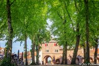 Laat je betoveren door de charme van Hanzestad Harderwijk: historische gebouwen, levendige markten en een maritieme sfeer aan het water!