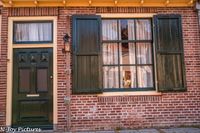 Verken de charme van Hanzestad Hasselt: historische panden, schilderachtige grachten en een vleugje nostalgie langs het water. Laat je inspireren!