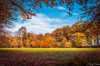 Maak een wandeling in de natuur: Geniet van de herfst in dit landschap.