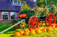 Herfstdecoratie: Pompoenen en kalebassen in alle soorten en maten.