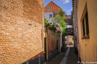 Ontdek de charme van Hanzestad Kampen: historische gebouwen, sfeervolle straatjes en een rijke maritieme geschiedenis aan de IJssel. Laat je betoveren!