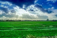 Een typisch gras landschap in deze omgeving!.