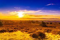 De vroege ochtendzon kleurt de heuvels van de Sallandse Heuvelrug oranje bij een winterse zonsopkomst!