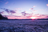 Een winters landschap bedekt met een dun laagje vorst, omringd door bomen en een serene rust.