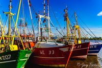 Ontdek de maritieme charme van Zoutkamp: pittoreske haven met viskotters en idyllische vissershuisjes!