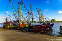 Zoutkamp: ervaar de unieke sfeer van een vissersdorp met kleurrijke huizen en een bruisende haven!