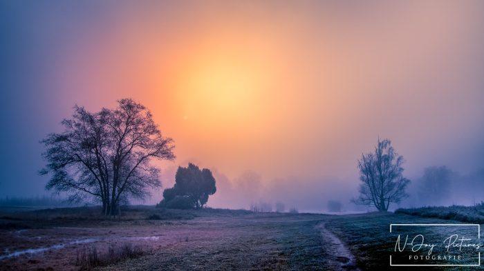 Vorst en zonlicht dansen op Stelkampsveld. N-Joy Pictures legt Borculo's natuurpracht vast. Bekijk nu en laat je verwonderen!