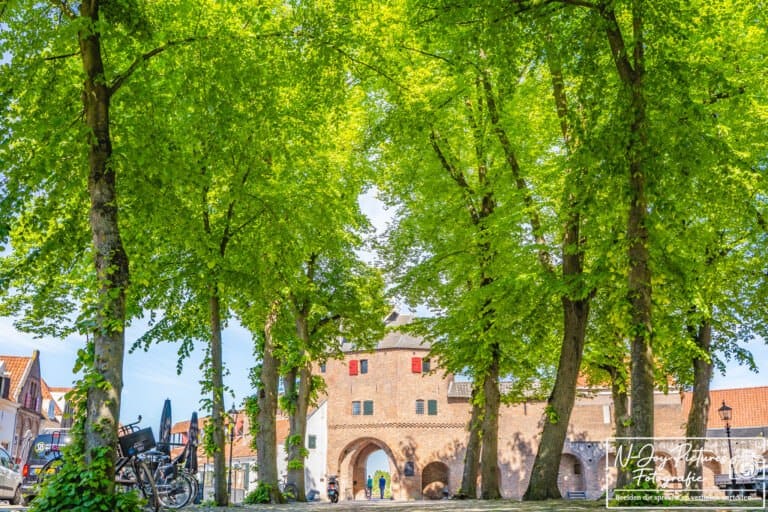 Historische straatjes en sfeer van Hanzestad Harderwijk prachtig gevangen in artistieke stadsfotografie – bekijk meer inspiratie.
