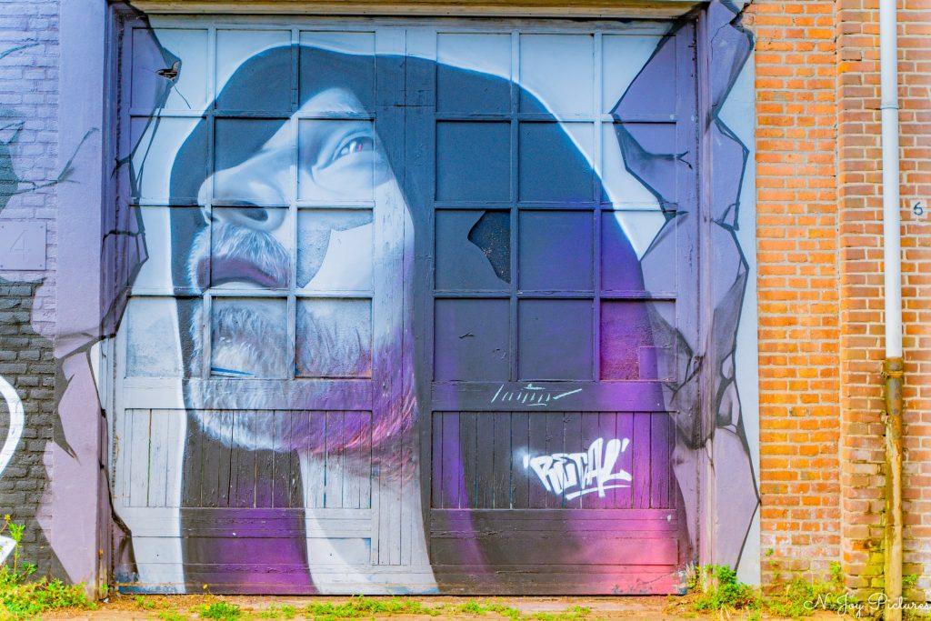 Street Art Fotografie 9 Street art explosie Den Bosch! Havendijk & Boschdijk vol kleur. Ontdek mijn unieke fotografie. Klik hier & contact!