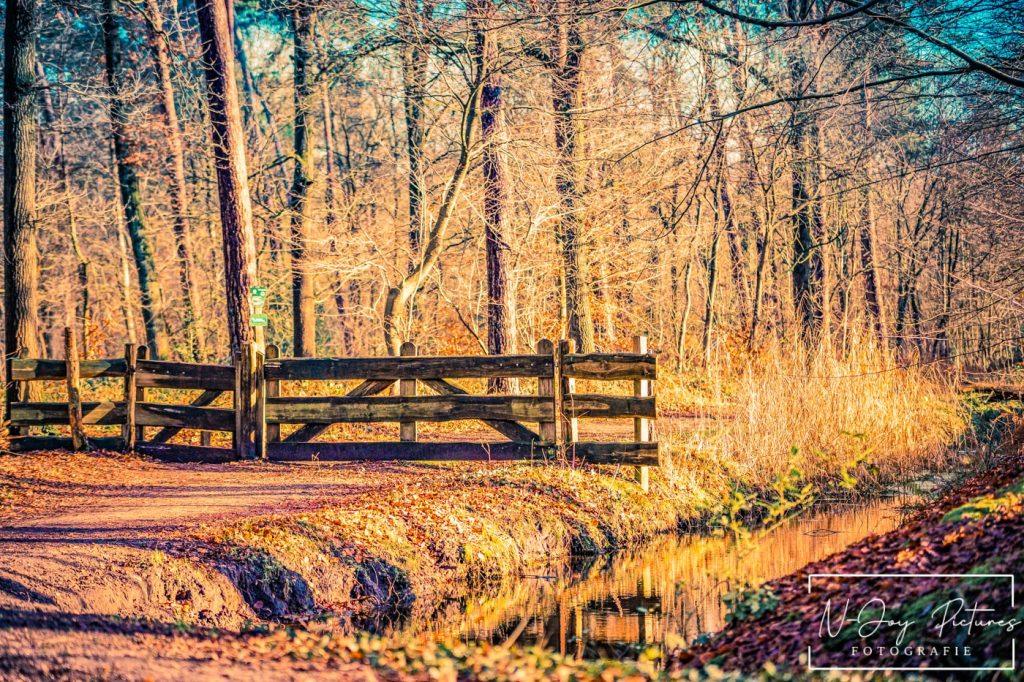 Landgoed Het Lankheet 4 Het Lankheet's natuurlijke wonderen! Laat u verrassen door de diversiteit. Bekijk mijn natuurfotografie en neem contact op voor uw project!