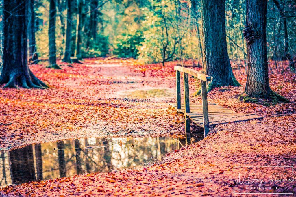 Blogs: Jouw Startpunt voor Fotografie & Creativiteit 7 Het Lankheet's natuurlijke wonderen! Laat u verrassen door de diversiteit. Bekijk mijn natuurfotografie en neem contact op voor uw project!