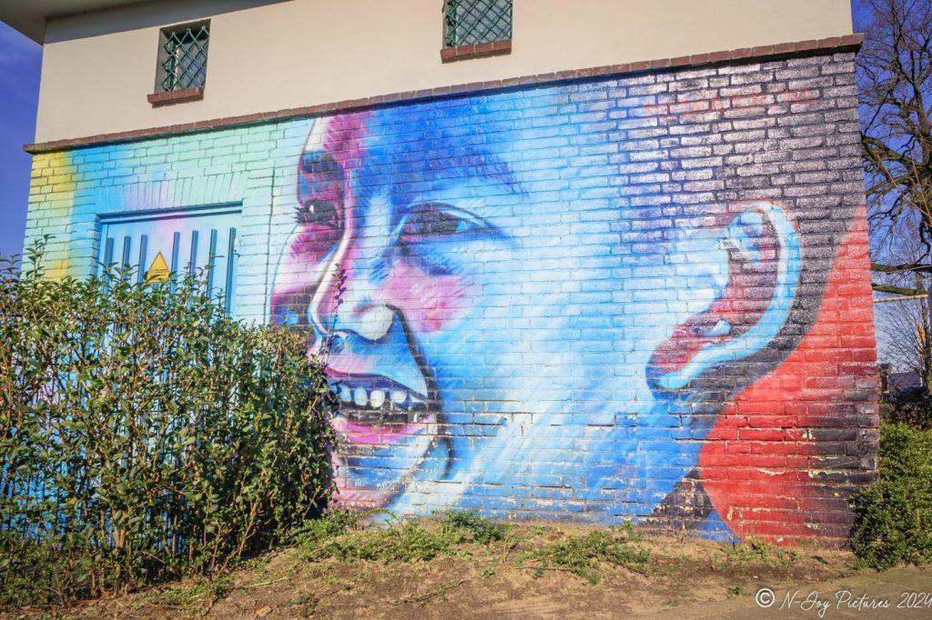 Ontdek 5 Betoverende Plekken met Street Art in Enschede: De Creatieve Hartslag van de Stad! 21 Street art Enschede: Performance Factory. Bewonder de foto’s en neem snel contact met me op!