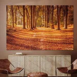 De Lochemse Berg in Herfstglorie. Adembenemende natuurfotografie die je moet zien! Meer herfstmagie? Klik & contact!