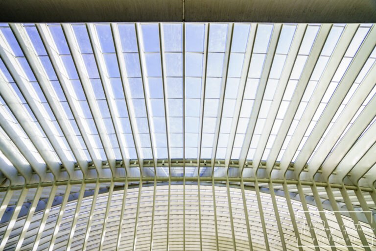 Station Luik-Guillemins: Architectonisch wonder! N-Joy Pictures vangt de futuristische lijnen. Meer modern design? Klik & ontdek!