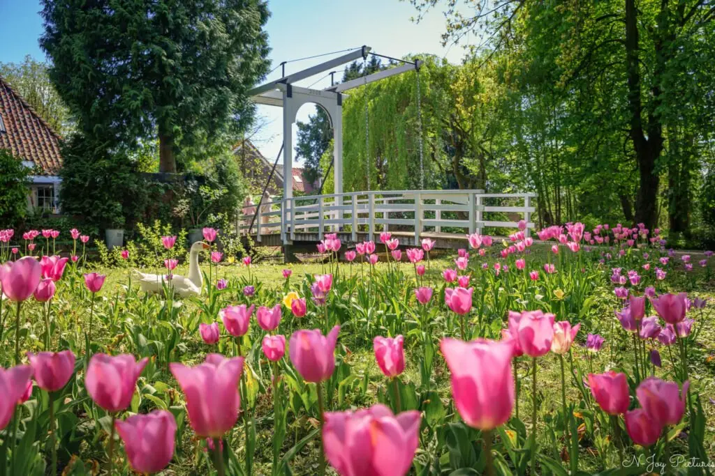 Een herkenbaar stukje Borculo: de houten ophaalbrug over de Berkel. Laat jouw locatie professioneel vastleggen door N-Joy Pictures Fotograaf Berkelland.