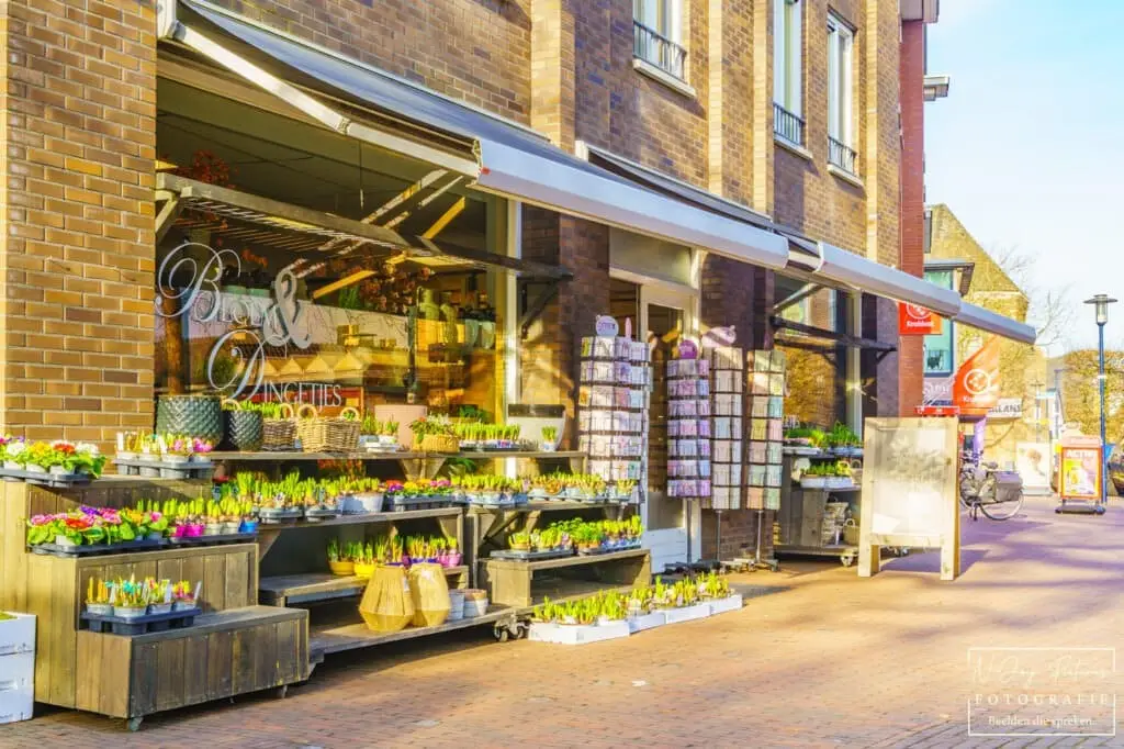Lokale bloemenshop in Ruurlo professioneel in beeld gebracht door N-Joy Pictures – versterk jouw bedrijfsuitstraling