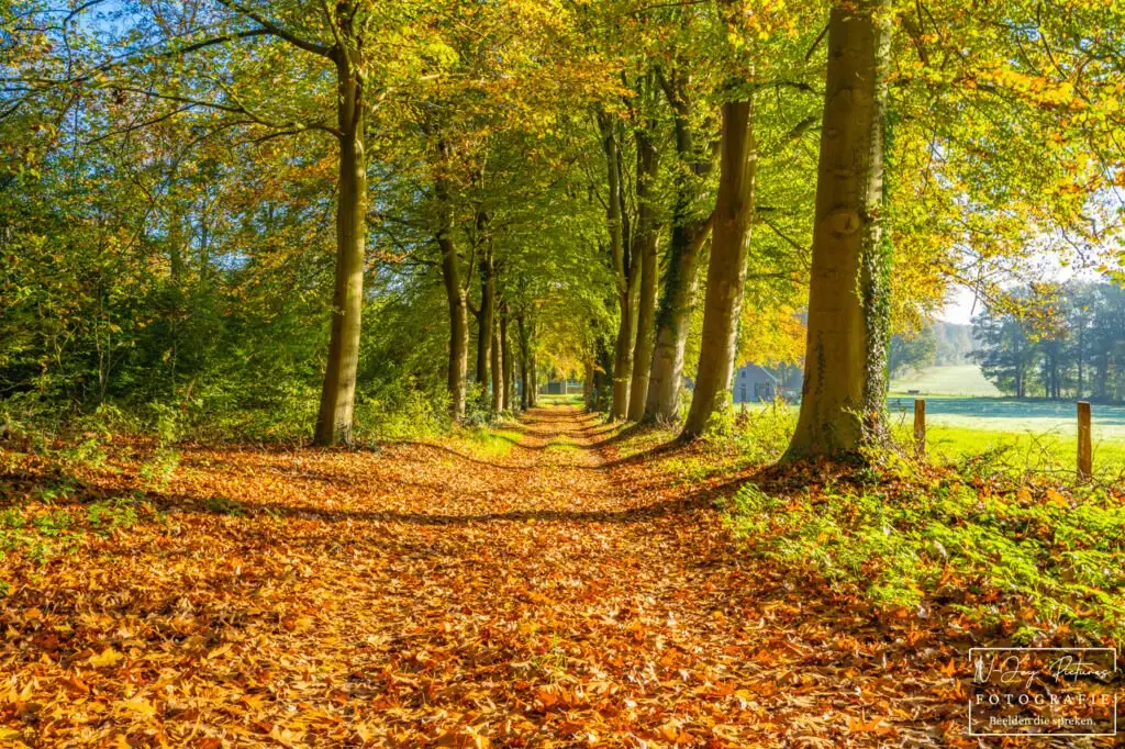 De Lochemse Berg 2024 7 van 8