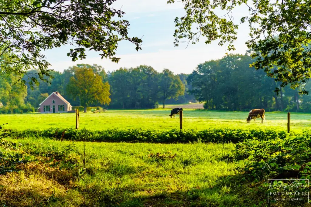 Unieke vergezichten op De Lochemse Berg, gefotografeerd door fotograaf Lochem N-Joy Pictures. Laat je inspireren, klik door.
