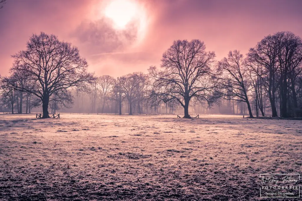 Fotograaf Delden 4 Tijdloze natuur op Landgoed Twickel bij Delden, vastgelegd in detailrijke landschapsfotografie door N-Joy Pictures, Fotograaf Delden.