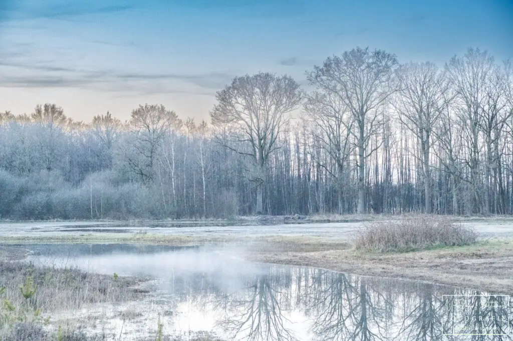 Sfeervolle landschapsfotografie van Stelkampsveld Borculo – natuur, rust en emotie gevangen door N-Joy Pictures Fotograaf Borculo. Bekijk de mogelijkheden.