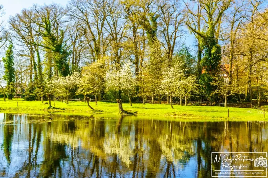 Sfeervolle natuur rondom Diepenheim gefotografeerd door N-Joy Pictures – ontdek deze rustige fotolocatie.